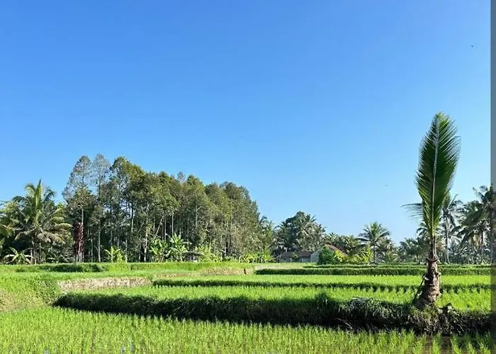 Luna Bamboo House * Tampaksiring